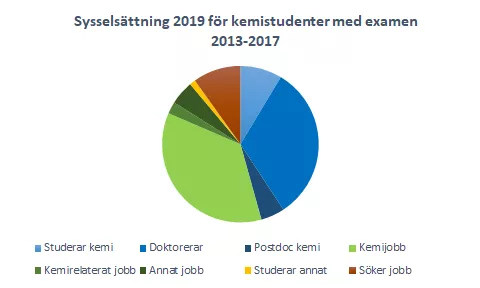 Diagram som visar vilken typ av sysselsättning kemistudenter med examen 2013-2017 hade enligt alumnundersökningen 2019.